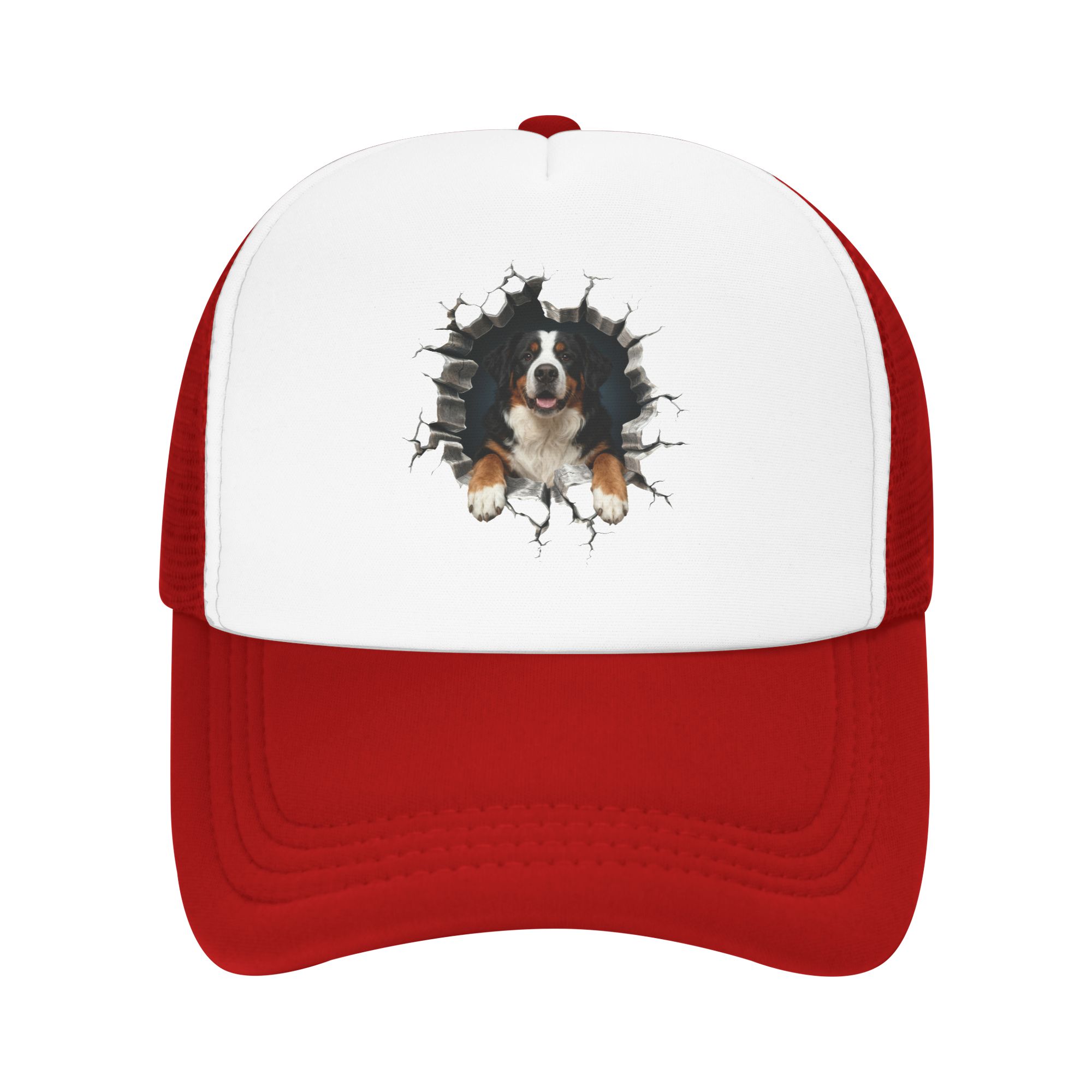 Breaking Through Bernese Mount - Trucker Hat Cap のレビューと価格