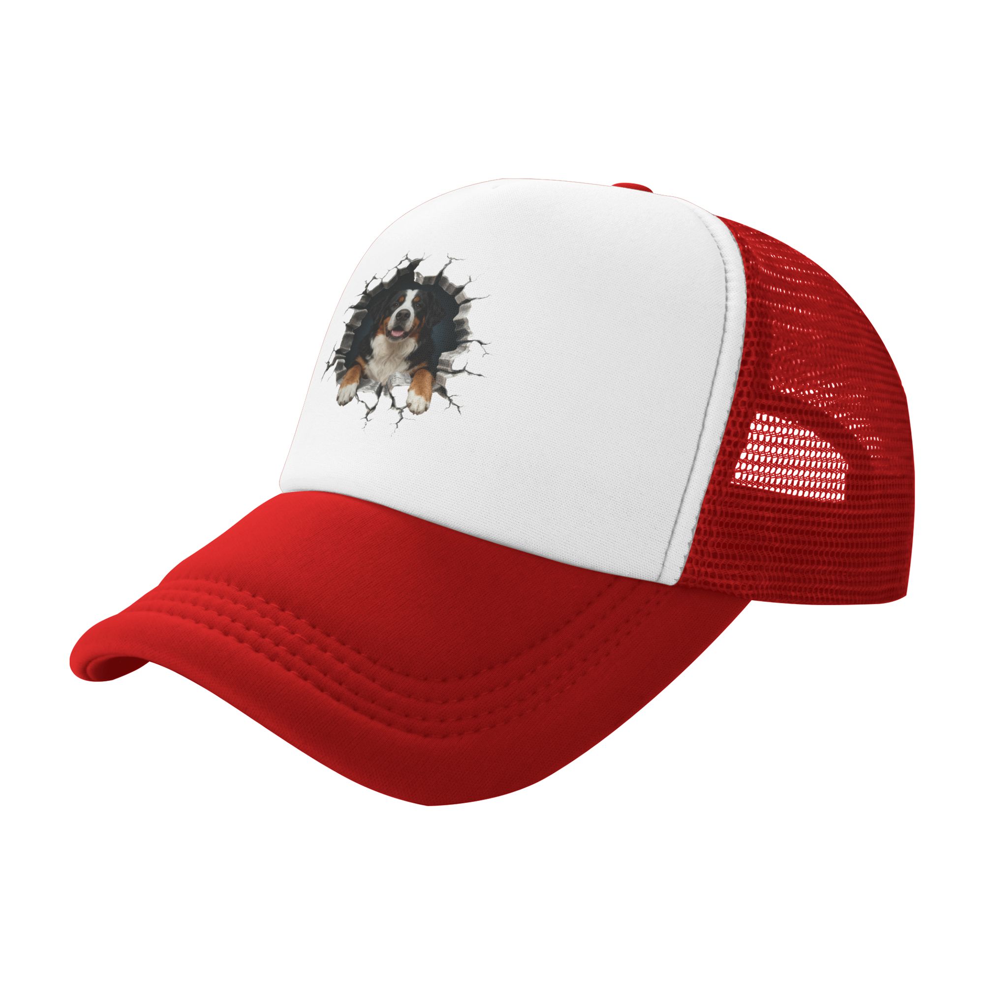 Breaking Through Bernese Mount - Trucker Hat Cap のレビューと価格
